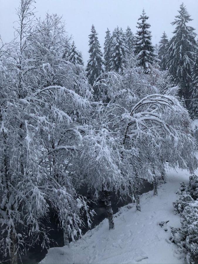 Le Chalet Du Narouel Жерарме Экстерьер фото